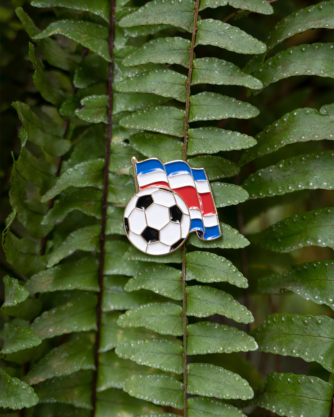 Pin Fútbol