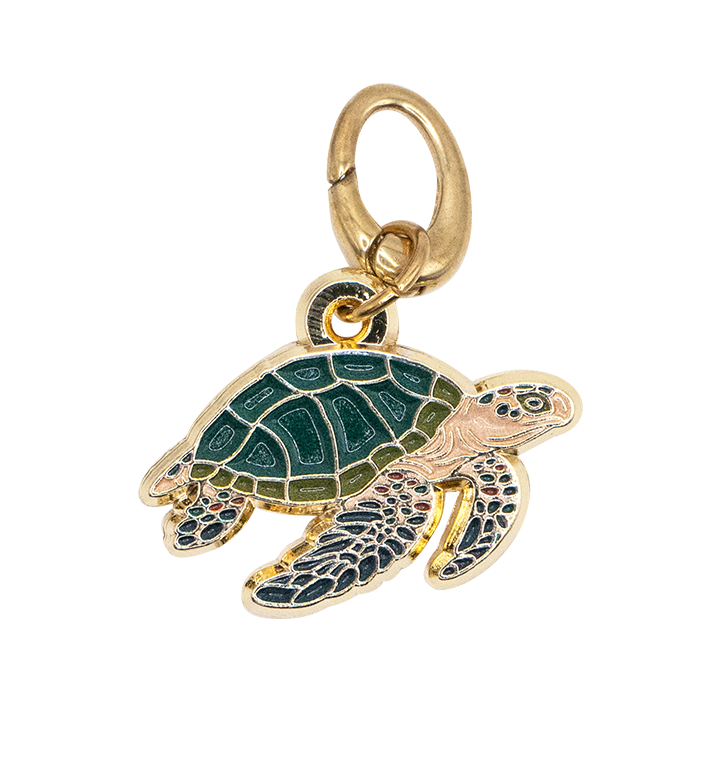Green Turtle Charm