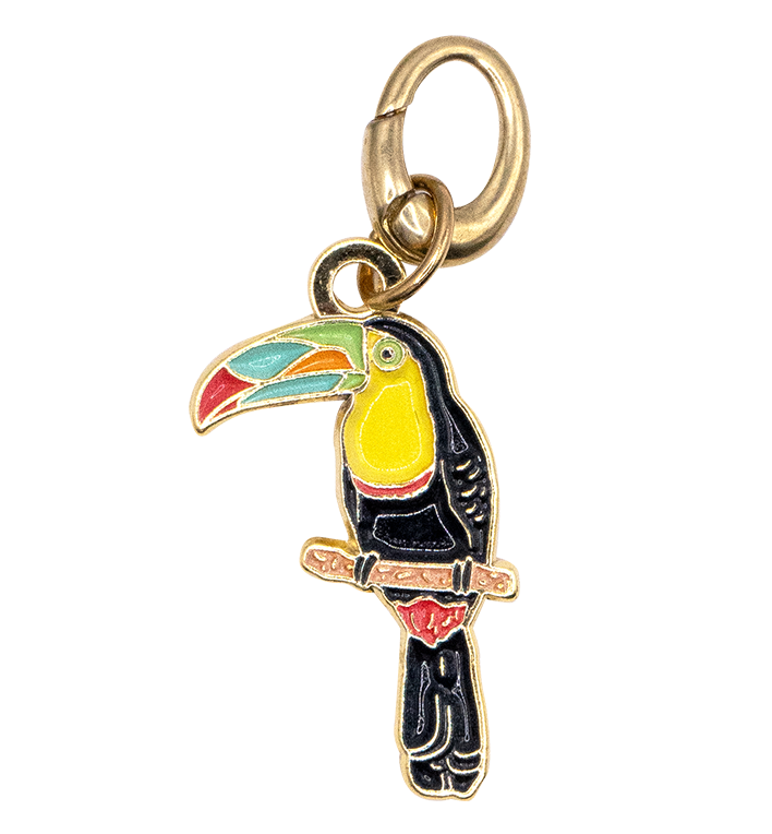 Toucan Charm